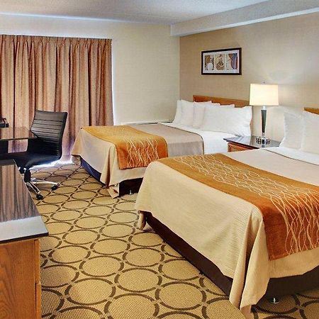 Comfort Inn Edmundston Luaran gambar